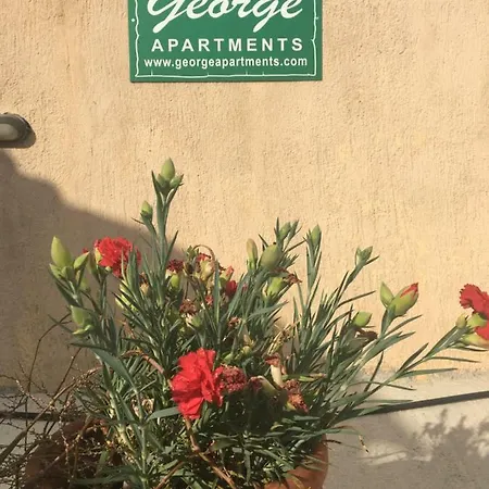 George Holiday home Lourdata (Kefalonia)